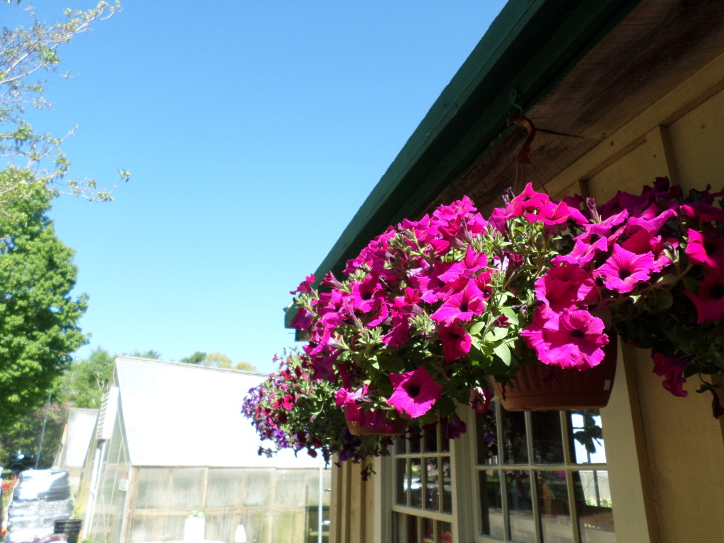 Crystal Lake Garden Shop