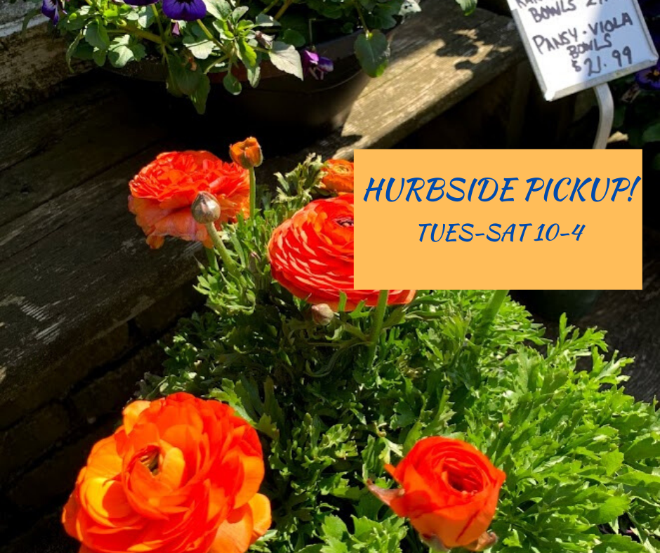Crystal Lake Garden Shop
