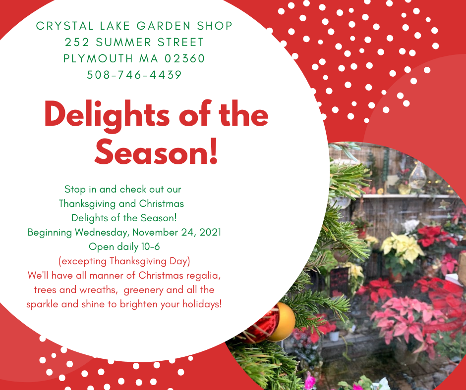 Crystal Lake Garden Shop Christmas 2021